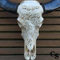 Hand Carved Longhorn Buffalo Skull Head, Eagle vs Dragon, Animal Skull Head