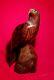 Hand Carved Rosewood American Bald Eagle Artisan Statue Vtg Antique Wood Figure