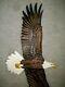 Hand Carved Soaring Bald Eagle Wood Wall Fine Art Carving Chainsaw Lodge Decor