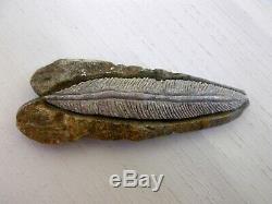 Hand Carved Soapstone Feather Into Rock by Soaring Eagle 2011
