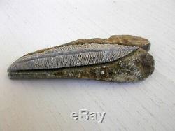 Hand Carved Soapstone Feather Into Rock by Soaring Eagle 2011