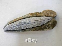 Hand Carved Soapstone Feather Into Rock by Soaring Eagle 2011