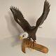Hand Carved Wood Bald Eagle On Branch, Rare Nature Crafts Limited Edition, 13 H