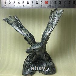 Hand-carved eagle natural crystal cluster quartz mineral specimen peacock eye