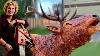 Incredible Chainsaw Wood Carving Life Sized Elk 10ft