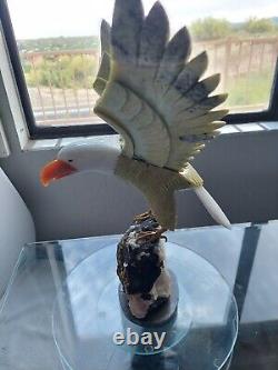 Large Stone Hand Carved Brazilian Eagle Gemstone Bird on Tourmaline Geode Base