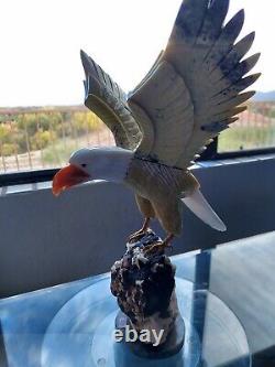 Large Stone Hand Carved Brazilian Eagle Gemstone Bird on Tourmaline Geode Base