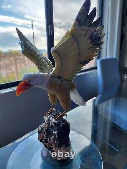 Large Stone Hand Carved Brazilian Eagle Gemstone Bird on Tourmaline Geode Base