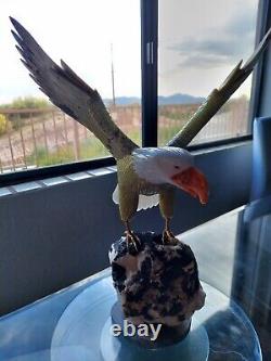 Large Stone Hand Carved Brazilian Eagle Gemstone Bird on Tourmaline Geode Base