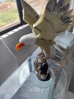 Large Stone Hand Carved Brazilian Eagle Gemstone Bird on Tourmaline Geode Base