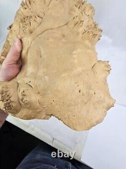 Large Vintage Hand Carved Burl Maple Detailed Bald Eagle Signed Wall Plaque