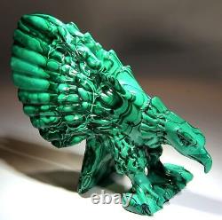 Museum 6.5 Eagle Natural Malachite Hand Carving! SC162