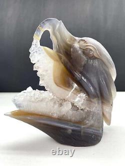 Natural Agate Geode Quartz Hand Carved Eagle Head Skull Crystal Gem Decor