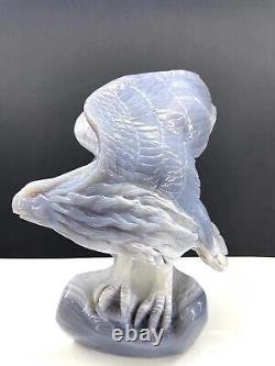 Natural Agate Geode Quartz Hand Carved eagle Skull Crystal healing Gem Decor
