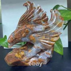 Natural Indonesian agate Quartz Hand Carved Eagle Skull Crystal Reiki Decor Gift