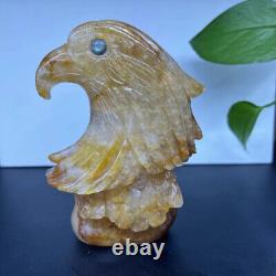 Natural Yellow gum flower eagle Quartz Hand Carved Skull Crystal Healing Decor