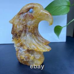 Natural Yellow gum flower eagle Quartz Hand Carved Skull Crystal Healing Decor