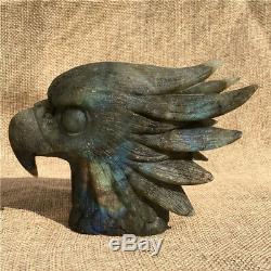 Natural labradorite hand carved eagle head skull quartz crystal healing K2193