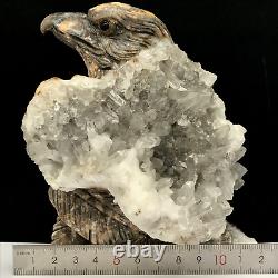 Natural quartz crystal cluster mineral specimen. Hand-carved. The eagle