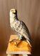 Original Vintage Eagle Sculpture Ussr Hand Carved 1960 Wooden Statue