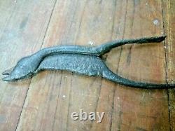 Old Iron Hand Carved Unique Eagle Face Engraved Betel Nut Cutter & EASY Tool