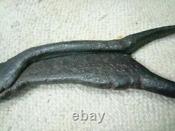 Old Iron Hand Carved Unique Eagle Face Engraved Betel Nut Cutter & EASY Tool