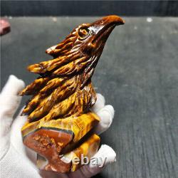 RARE 331.9G Natural Tiger's Eye Hand carved eagle/Decoration/Healing BYU548