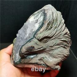 RARE 867G Natural Purple Quartz Crystal Teeth Hand Carved Eagle Healing WD1448