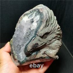 RARE 867G Natural Purple Quartz Crystal Teeth Hand Carved Eagle Healing WD1448