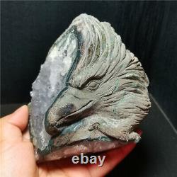 RARE 867G Natural Purple Quartz Crystal Teeth Hand Carved Eagle Healing WD1448