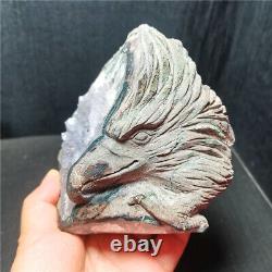 RARE 867G Natural Purple Quartz Crystal Teeth Hand Carved Eagle Healing WD1448