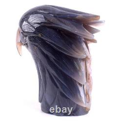 Rare 6.5''Natural Geode Agate Hand Carved Ferocious Eagle head Centerpiece 1997g