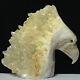 Rare Of Natural Crystal Quartz Mineral Specimens Were Hand Carved Eagle Boutique