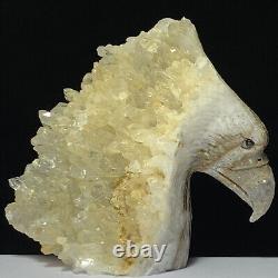 Rare of Natural Crystal Quartz Mineral Specimens Were Hand Carved Eagle Boutique