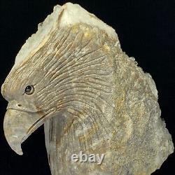 Rare of Natural Crystal Quartz Mineral Specimens Were Hand Carved Eagle Boutique