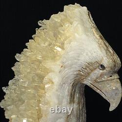 Rare of Natural Crystal Quartz Mineral Specimens Were Hand Carved Eagle Boutique