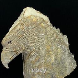 Rare of Natural Crystal Quartz Mineral Specimens Were Hand Carved Eagle Boutique