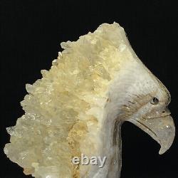 Rare of Natural Crystal Quartz Mineral Specimens Were Hand Carved Eagle Boutique