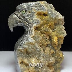 Rare of Natural Crystal Quartz Mineral Specimens Were Hand Carved Eagle Boutique