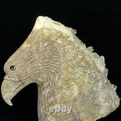 Rare of Natural Crystal Quartz Mineral Specimens Were Hand Carved Eagle Boutique