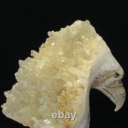 Rare of Natural Crystal Quartz Mineral Specimens Were Hand Carved Eagle Boutique