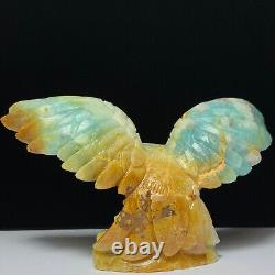 Rare of Natural Crystal Quartz Mineral Specimens Were Hand Carved Eagle Boutique