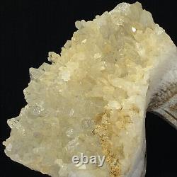 Rare of Natural Crystal Quartz Mineral Specimens Were Hand Carved Eagle Boutique