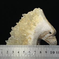 Rare of Natural Crystal Quartz Mineral Specimens Were Hand Carved Eagle Boutique