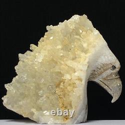 Rare of Natural Crystal Quartz Mineral Specimens Were Hand Carved Eagle Boutique