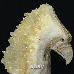 Rare of Natural Crystal Quartz Mineral Specimens Were Hand Carved Eagle Boutique