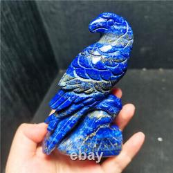 Rare257G Natural Lapis Lazuli Crystal Handcarved Eagle Sculpture Therapy WYY1161