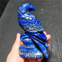 Rare257G Natural Lapis Lazuli Crystal Handcarved Eagle Sculpture Therapy WYY1161