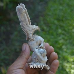 Skull Snake Eagle Carving 120mm Height T521 in Antler Hand Carved