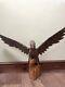 Superb Vintage Russian Ussr Hand Carved Wooden Eagle Bird Of Prey Sculpture